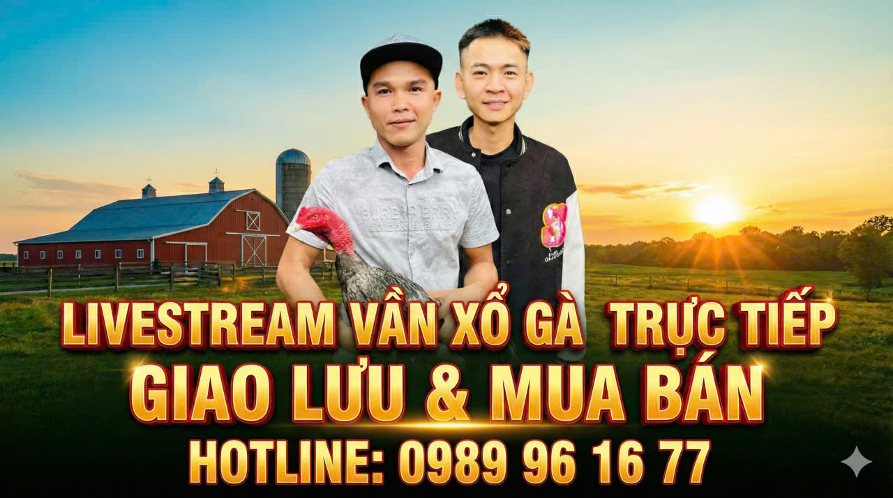 Video Đá Gà Ngày 25/01/2026 - Xem Lại Vần Xổ Gà Trực Tiếp